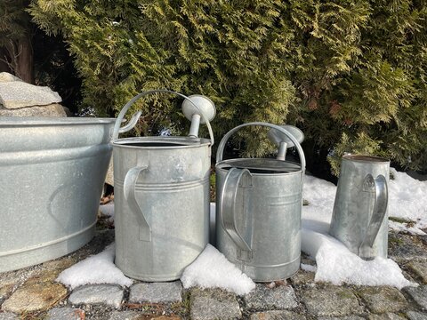 Verschneite Zinkgie&szlig;kannen und ein Waschzuber im shabby chic Look vor einer gr&uuml;nen Hecke im winterlichen Garten.