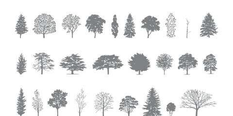 Fototapeta premium Set of Detailed Tree Silhouettes Including Coniferous and Deciduous Species for Landscape and Architectural Design