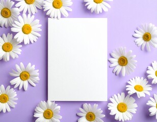 White paper card surrounded by chamomile flowers on purple background. Template for greeting card, wedding invitation, spa or organic product design.