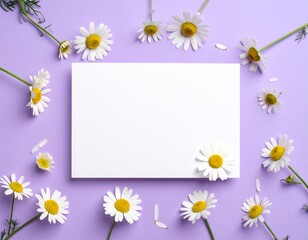White paper card surrounded by chamomile flowers on purple background. Template for greeting card, wedding invitation, spa or organic product design.