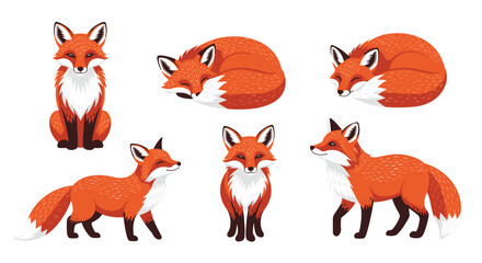Collection of six red fox illustrations showing various poses like sitting walking standing and sleeping soundly.