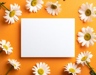 White paper card surrounded by chamomile flowers on orange background. Template for greeting card, wedding invitation, spa or organic product design.