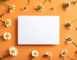 White paper card surrounded by chamomile flowers on orange background. Template for greeting card, wedding invitation, spa or organic product design.