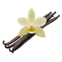 Vanilla Delight: An elegant arrangement of vanilla beans and a delicate vanilla flower, capturing the essence of natural flavors and culinary excellence.