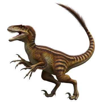 Feathered Velociraptor Dinosaur Running 3D Illustration Isolated on White Background"