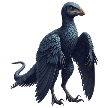Microraptor Dinosaur with Black Feathers 3D Illustration Isolated on White Background"