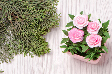 Small Pink Roses in a Pot with Green Fir Branch on White Wooden Background