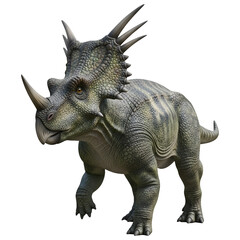 Fototapeta premium Styracosaurus Dinosaur 3D Illustration Isolated on White Background