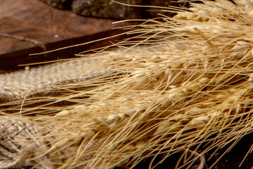 Close Up of Natural Dried Wheat Ears on Rustic Burlap Sack Background