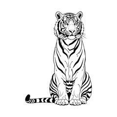 Fototapeta premium Sitting Tiger Line Art Illustration