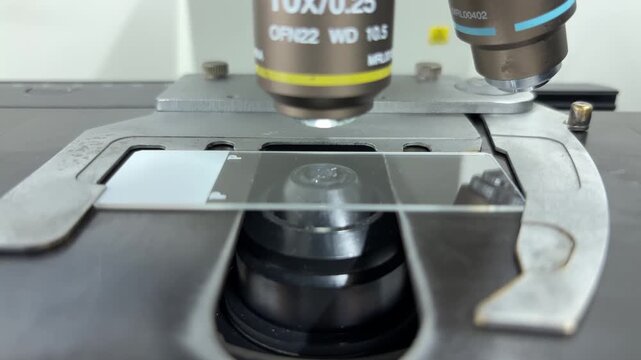 Placing a White Microscope Slide on the Stage &ndash; Preparation Process (Centered Composition)
