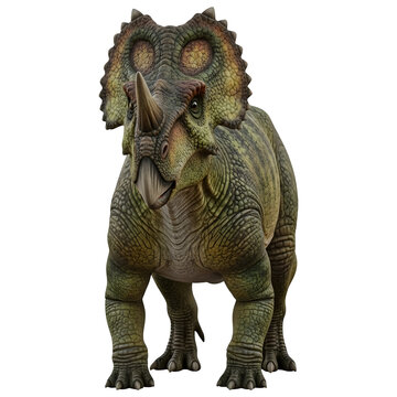 Centrosaurus Dinosaur Front View 3D Illustration Isolated on White Background"