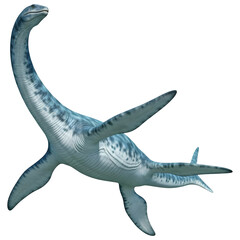 Plesiosaurus Marine Reptile Underwater 3D Illustration Isolated on White Background"