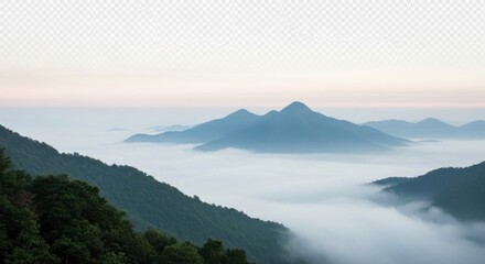 A misty mountain landscape with a dense forest and a distant mountain range.