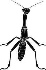 A praying mantis as a focus coach in calm standing pose, slim silhouette, flat vector illustration, solid flat colors, bold outline, no gradient, no shadow, clean vector sticker, white background 1.