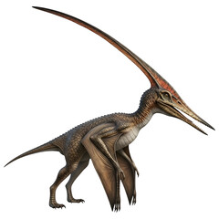 Prehistoric Pteranodon Pterosaur Walking Isolated 3D Illustration"