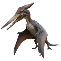 Walking Pterosaur with Teeth and Crest Isolated 3D Illustration"