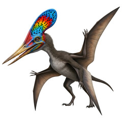 Exotic Pterosaur with Colorful Spotted Crest Isolated 3D Render