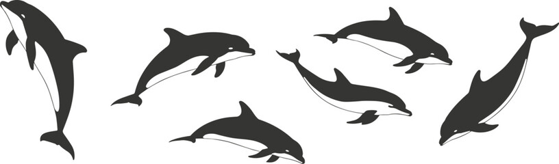 Fototapeta premium Dolphin silhouette illustration, black dolphin vector, ocean animal graphic, marine wildlife art, jumping dolphin pose, sea creature design, aquatic motionDolphin silhouette illustration