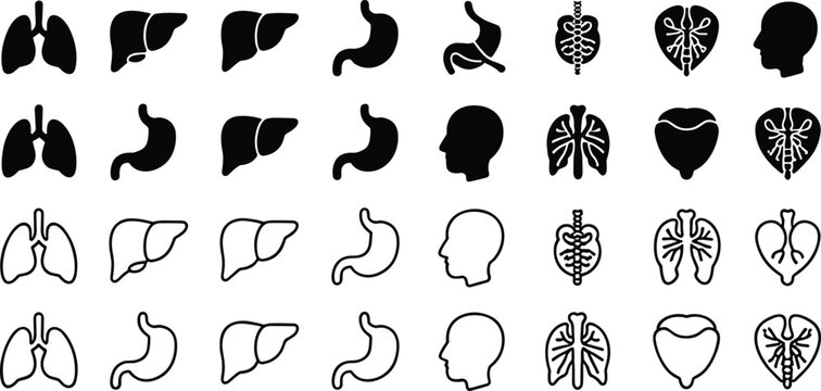 Silhouette and Outline Icons of Human Organs and Head Profiles Keywords: lung, lungs, liver