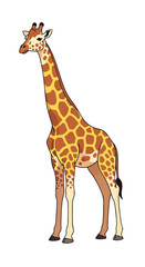 Obraz premium Whimsical cartoon illustration of a tall giraffe with vibrant spots.