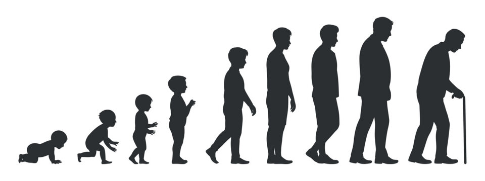 A visual depiction of the human life cycle from infancy to old age shown in silhouette
