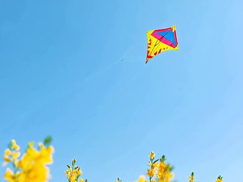 Kite flying over yellow flowers