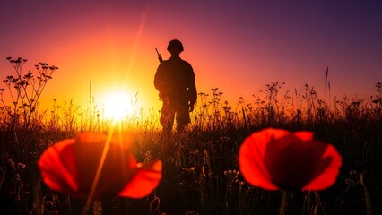 Silhouette of a soldier against a vibrant sunset with poppy flowers in foreground