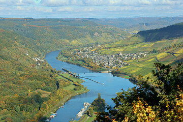 Die Moselschleuse Enkirch und der Ort Enkirch im Landkreis Bernkastel-Wittlich in Rheinland-Pfalz im Herbst. Aussicht vom Wanderweg Moselsteig Seitensprung Leiermannspfad.  © Philipp