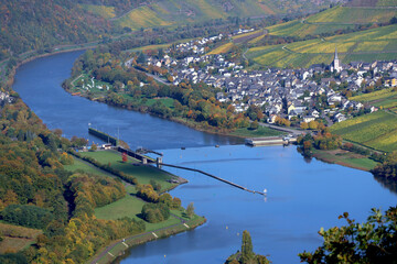 Die Moselschleuse Enkirch und der Ort Enkirch im Landkreis Bernkastel-Wittlich in Rheinland-Pfalz im Herbst. Aussicht vom Wanderweg Moselsteig Seitensprung Leiermannspfad.  © Philipp