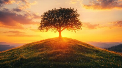Sunset overrolling hill with majestic tree nature landscape tranquil environment scenic view