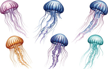 Colorful vector illustration set of various jellyfish with long tentacles in shades of blue pink orange and teal. © MDSAKIB