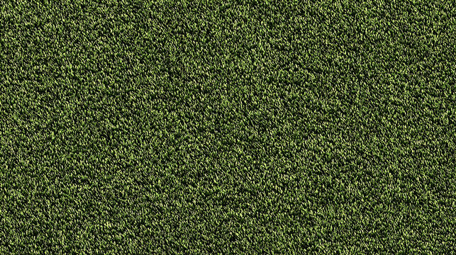 Dark Green Grass Field Texture with Subtle Lighting