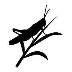 Elegant black silhouette vector illustration of a grasshopper perched on a plant stem