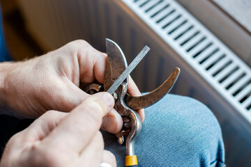 A man sharpens the blade of an old garden pruner with a metal file, preparing the tool for the new season