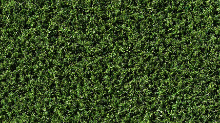 Detailed texture of vibrant green grass blades background
