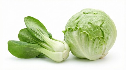 Fresh green iceberg lettuce and bok choy vegetables on a clean white background