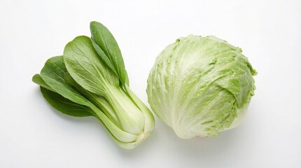 Fresh bok choy and crisp iceberg lettuce, vibrant green vegetables for healthy cooking