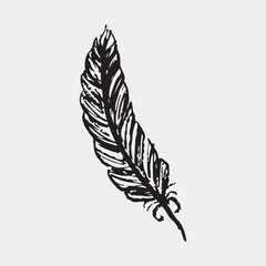 Obraz premium Hand drawn feather. Flight, freedom, and spirit. Vector sketch illustration in vintage crayon charcoal style