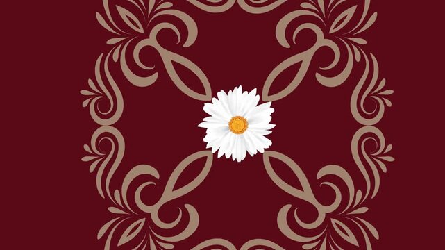 draw set of five white flower enclose by golden frame in square shape on maroon screen background
