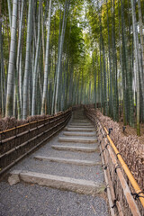 Experience the serene Arashiyama Bamboo Grove in Kyoto, Japan. Stone steps ascend through towering, tranquil bamboo stalks, framed by rustic fences, offering an immersive natural escape.