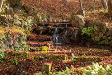 Serene autumn scene featuring a tiered waterfall cascading into a tranquil pond adorned with vibrant red maple leaves. A traditional Japanese garden ambiance with stone elements and rich fall foliage