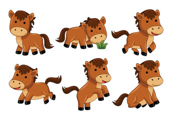 Fototapeta premium baby horse animal vector illustration