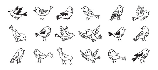 Bird doodle set. Birds hand drawn collection. Cute hand drawn bird doodles. Black on white drawing