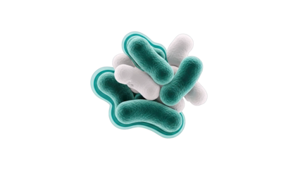 Microscopic Bacteria Cluster