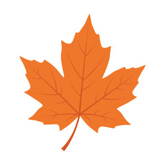 Fototapeta premium Beautiful orange maple leaf design perfect for autumn season decorations