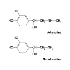 Adrenaline (epinephrine) and Noradrenaline (norepinephrine)