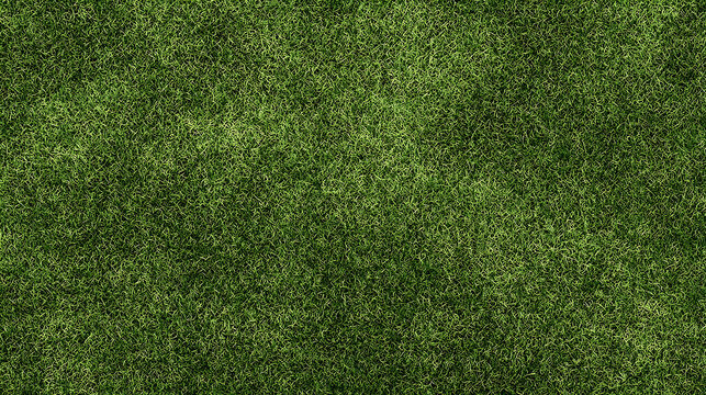 Textured Green Grass Field with Subtle Shadows lawn