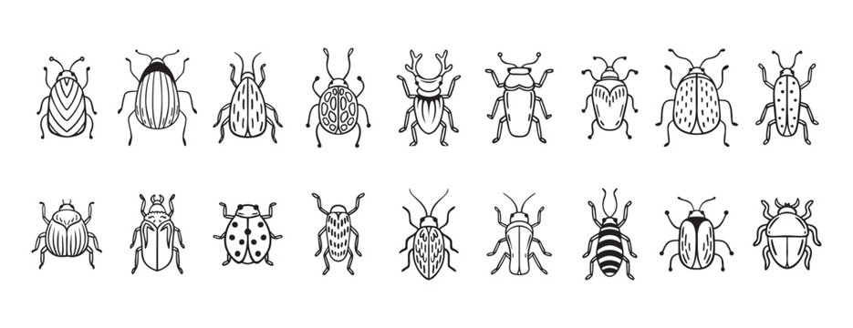 Garden bugs hand drawn outline doodle icon set. Garden bugs drawing elements simple line beetle clipart