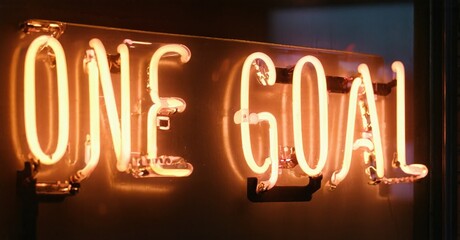 Bright neon sign displays words one goal. Warm lighting, dark background creates dramatic effect. Simple message, motivational vibe.
